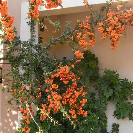 Apartment House With 7 Bedrooms In Agia Pelagia, With Wonderful Sea View, Enclos